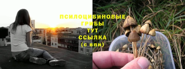 СК Балахна