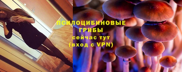 СК Балахна