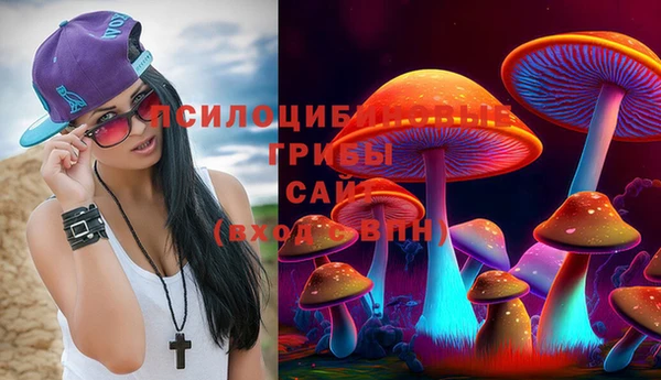 СК Балахна