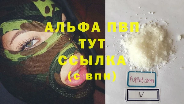 СК Балахна