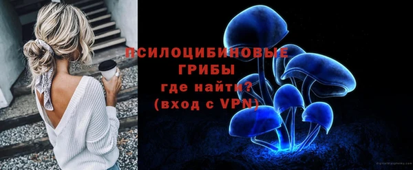 СК Балахна