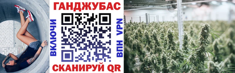 что такое наркотик  Вытегра  Конопля Ganja 
